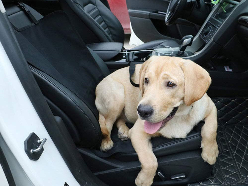Auto sēdekļa pārklājs sunim