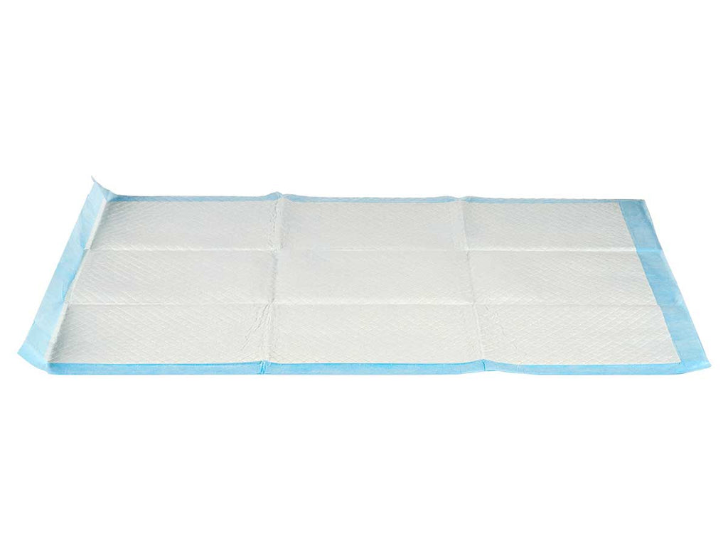 higiēniskie paladziņi 10 pieces 60 × 90 cm with adhesive