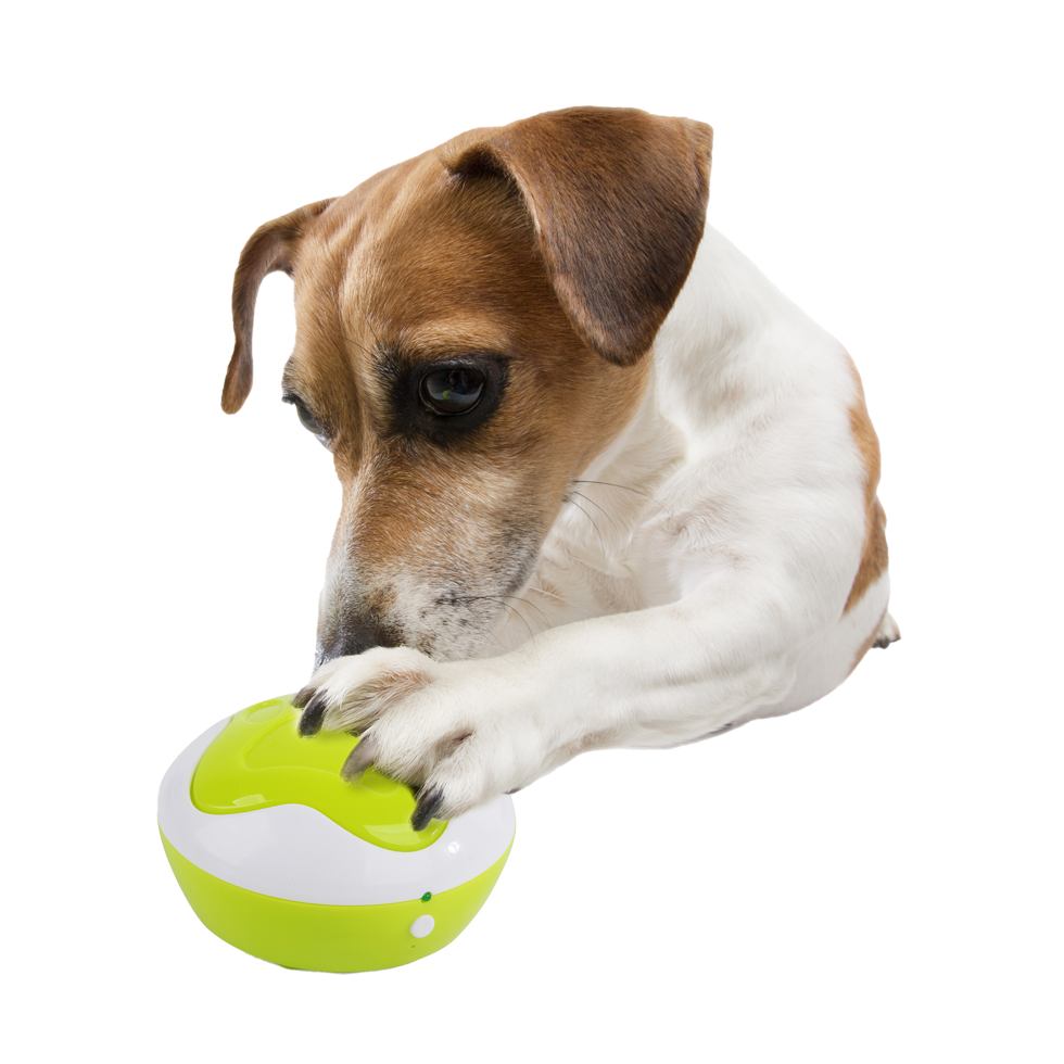 AFP interaktīvā rotaļlieta Puppy Interpreter