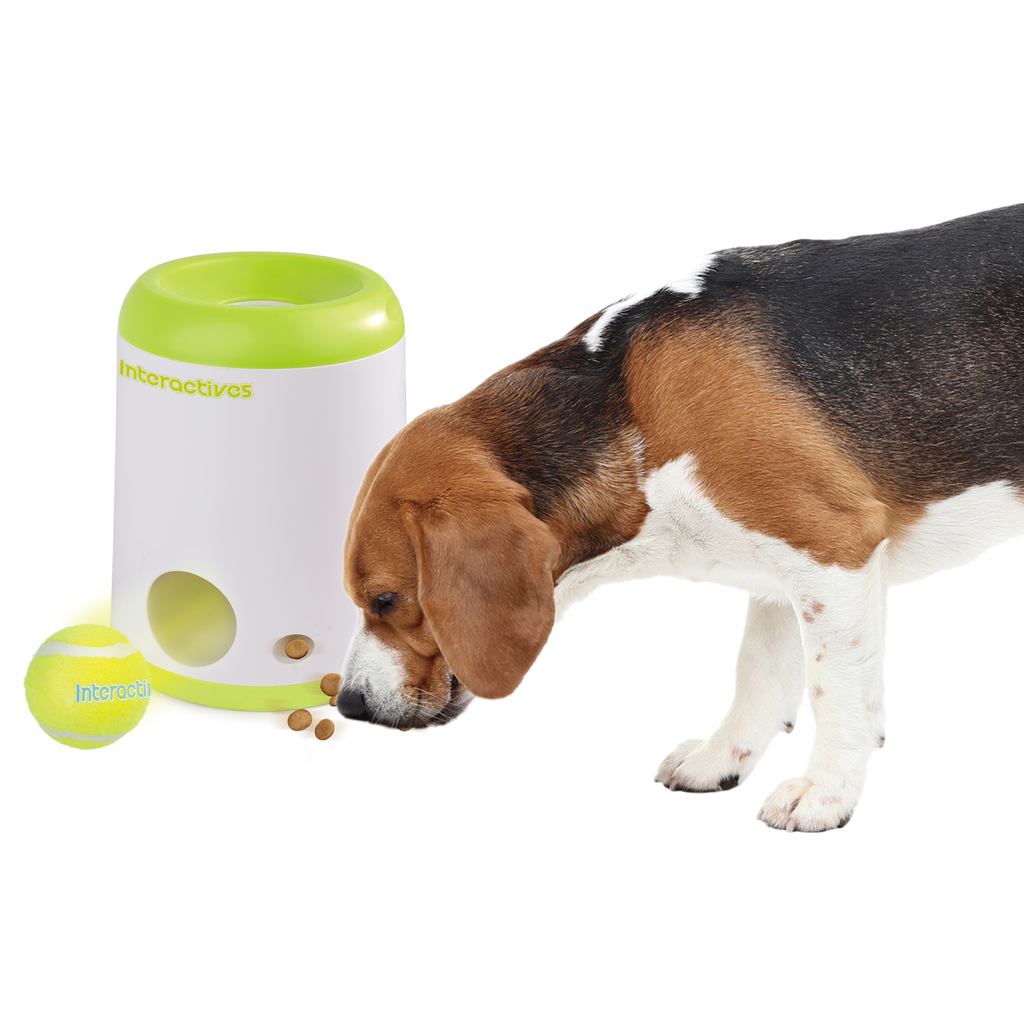 AFP Interactive Fetch'N Treat model