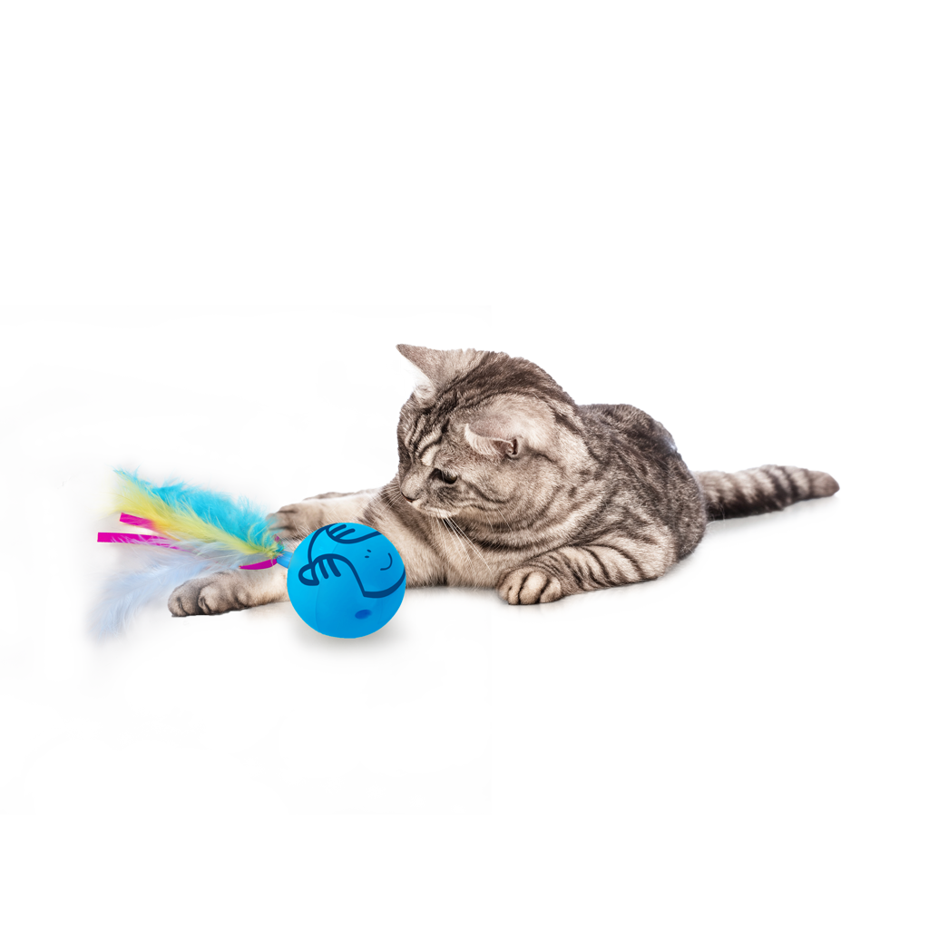 AFP kaķu rotaļlieta Dizzy Spinner