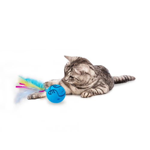 AFP kaķu rotaļlieta Dizzy Spinner