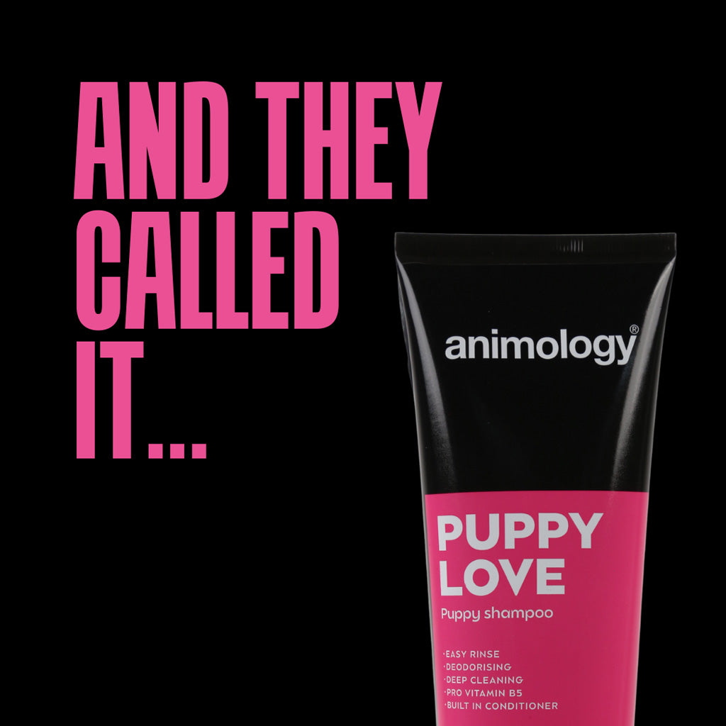 Animology Puppy Love šampūns - 250 ml