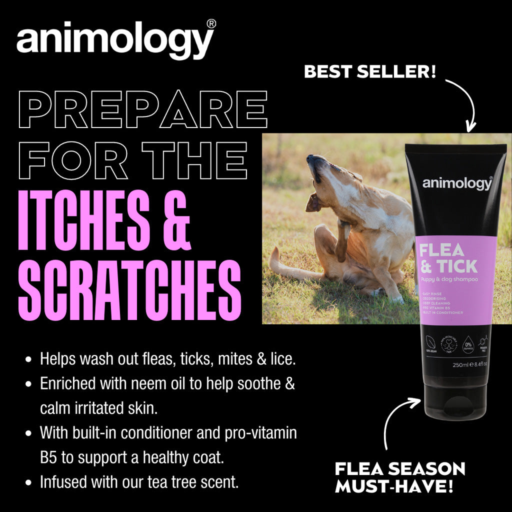 Animology Flea & Tick šampūns - 250 ml