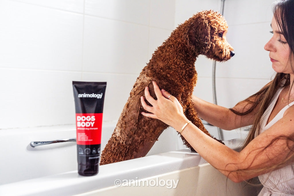 Animology Dogs Body šampūns - 250 ml