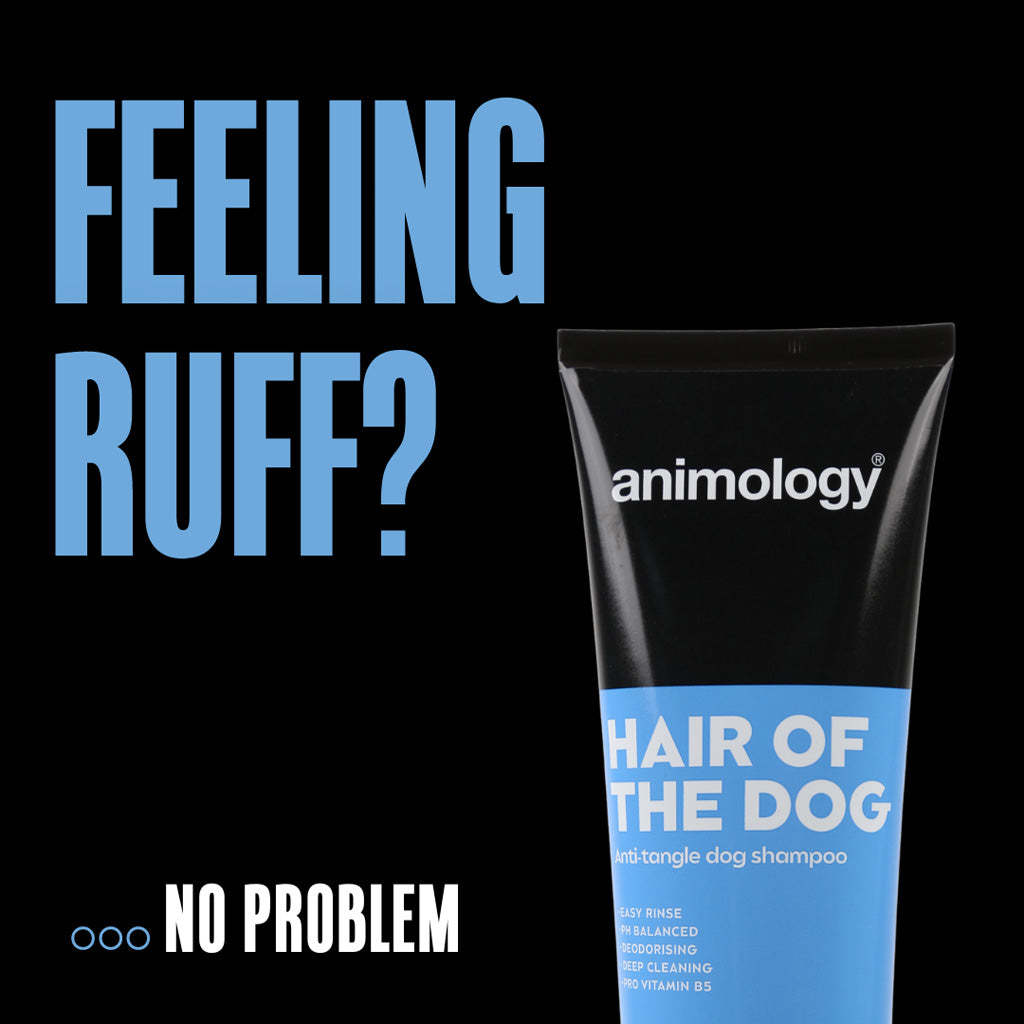 Animology Hair Of The Dog suņu šampūns - 250 ml