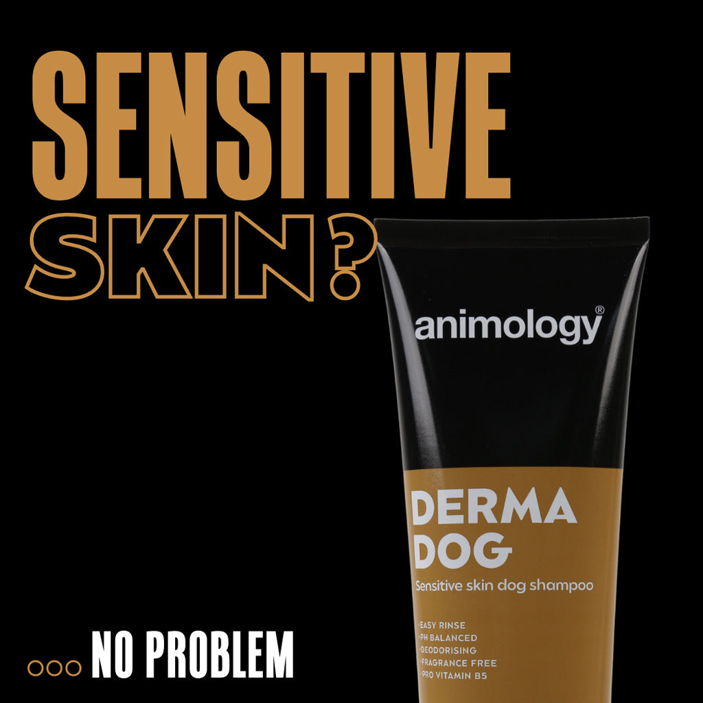 Animology Derma suņu šampūns - 250 ml