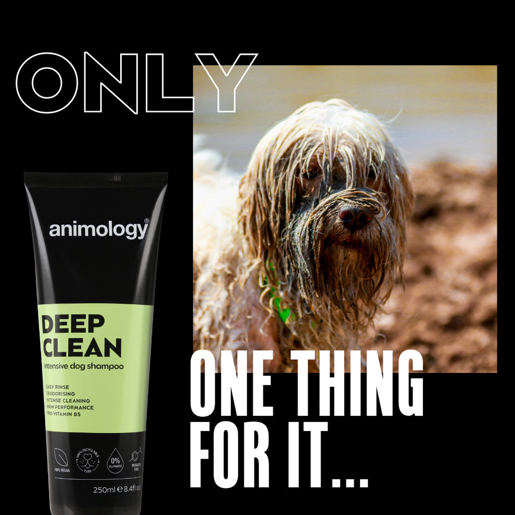Animology Deep Clean šampūns - 250 ml