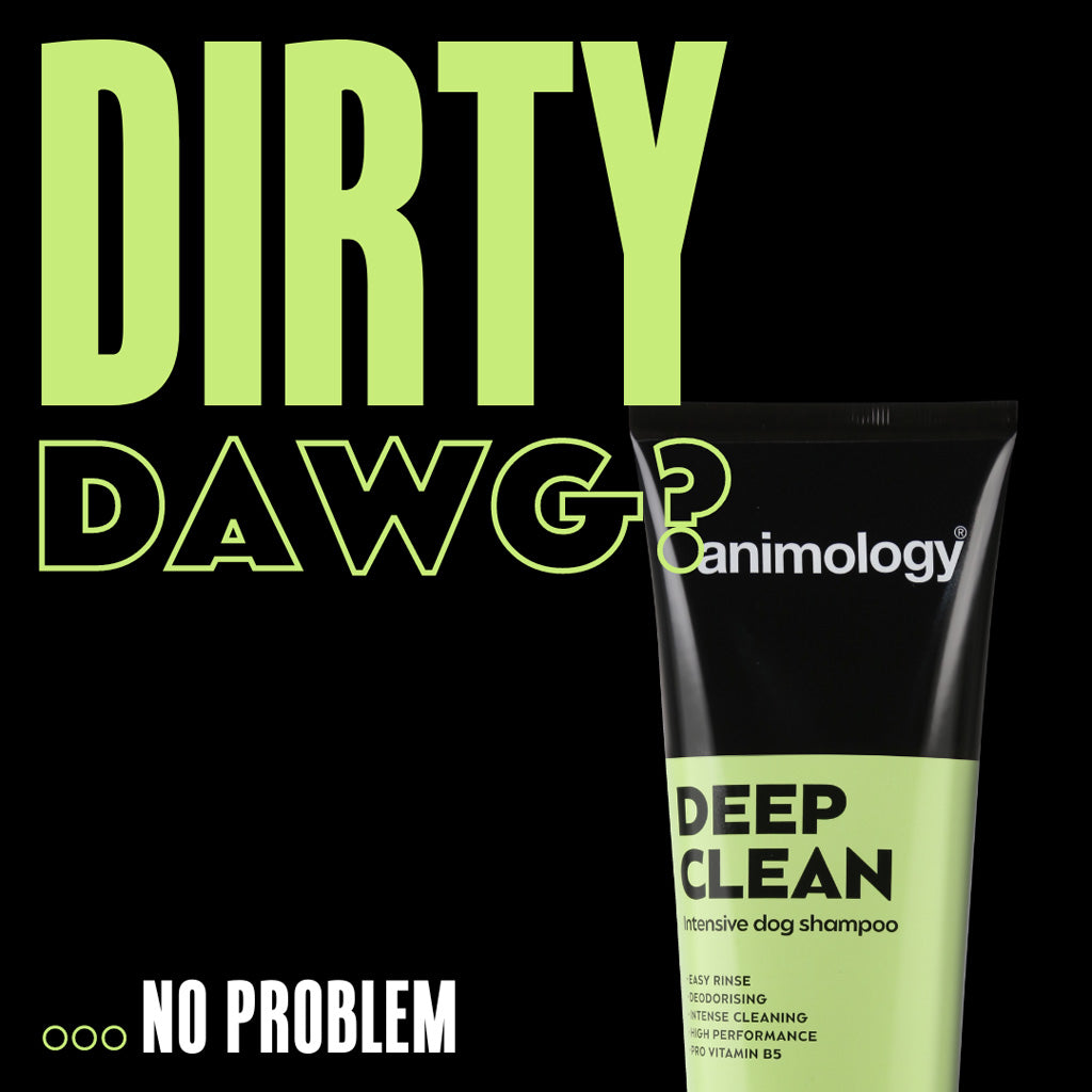 Animology Deep Clean šampūns - 250 ml