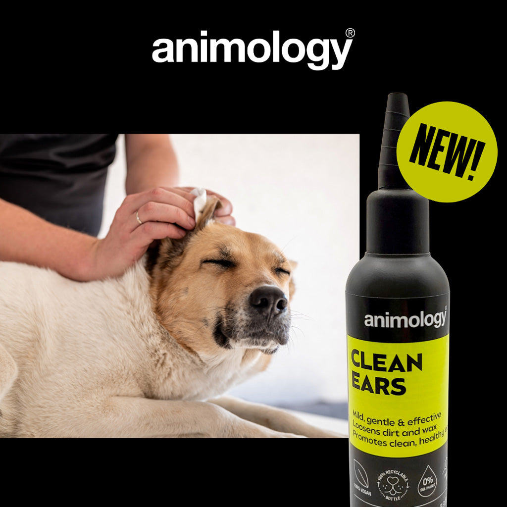 Animology Clean Ears - 100 ml