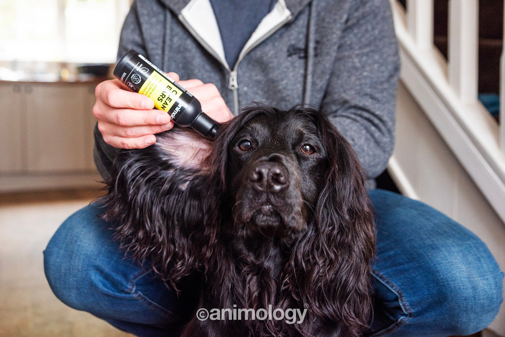 Animology Clean Ears - 100 ml