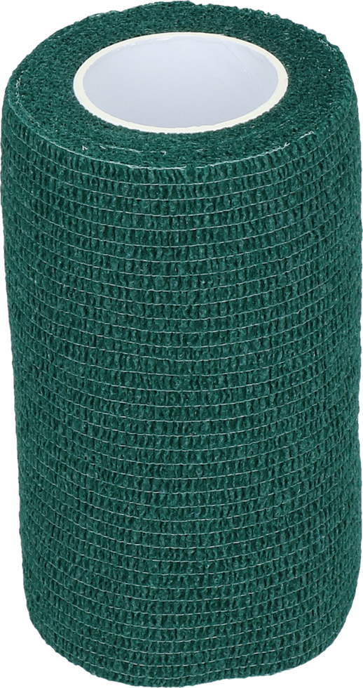 Pašlīmējoša saite dzīvniekiem, zaļa 10 cm