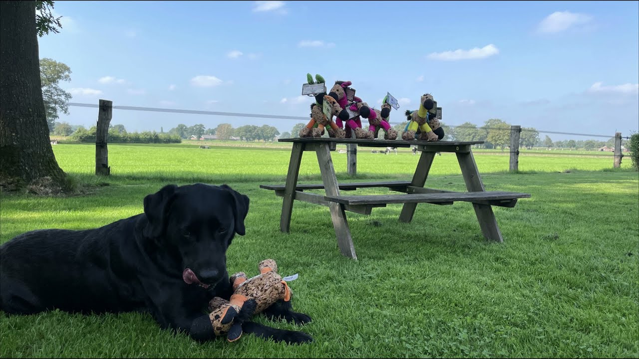 Retrodog ēzelīša rotaļlieta oranža M