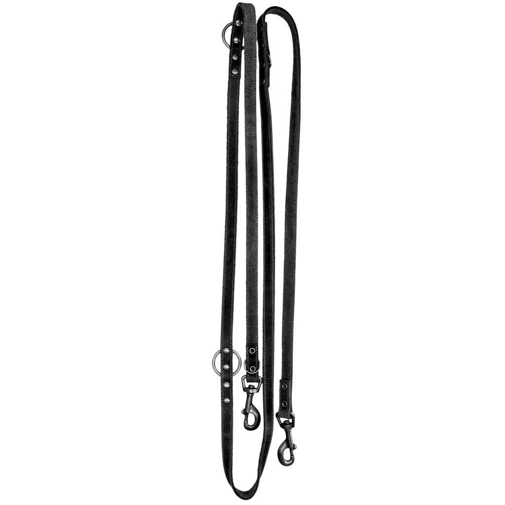 Ādas treniņu pavada, melna (1,6 × 250 cm) – Spotted! Pro