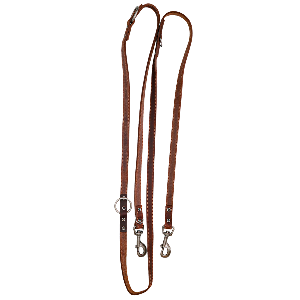 Ādas treniņu pavada, brūna (1,6 × 250 cm) – Spotted! Pro