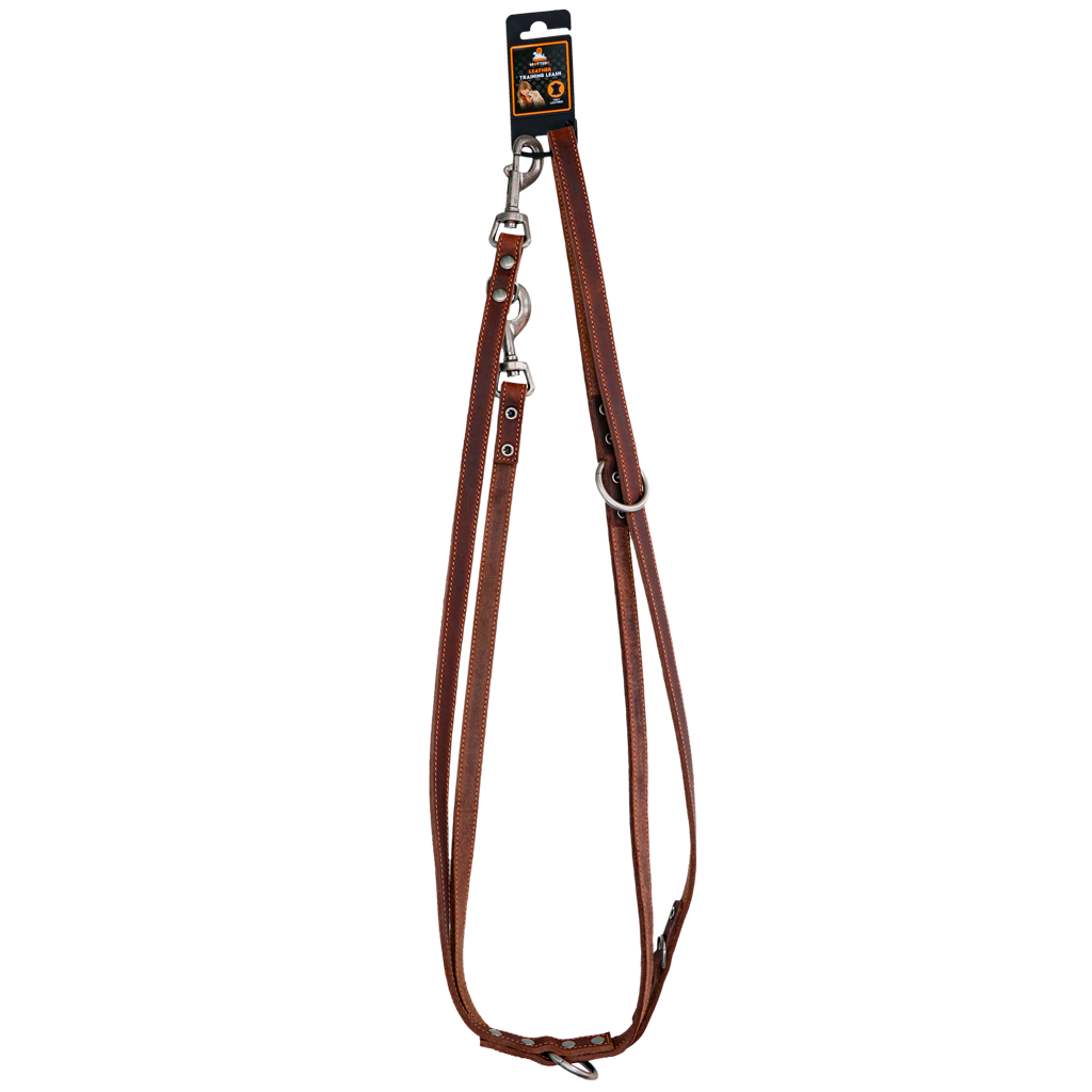 Ādas treniņu pavada, brūna (1,6 × 250 cm) – Spotted! Pro