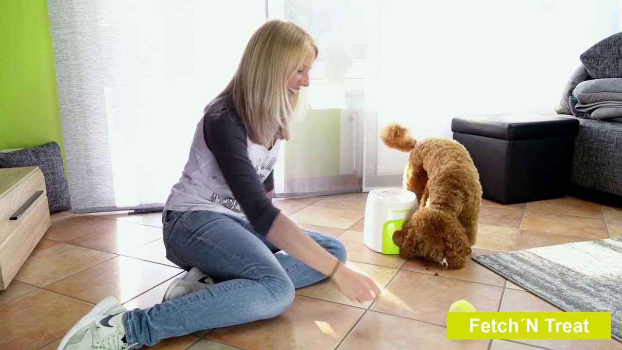 AFP Interactive Fetch'N Treat model