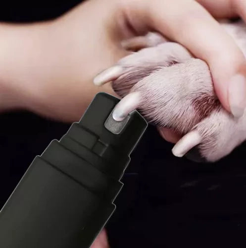 nagu grieznes mājdzīvniekiem